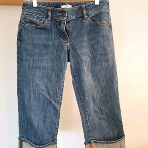 Ann Taylor Loft Petite Jeans